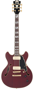 D'Angelico DELUXE MINI DC Series Semi Hollow-Body Electric Guitar (Satin Trans Wine)