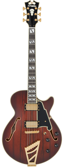 D'Angelico DELUXE SS Semi Hollow-Body Electric Guitar (Satin Brown Burst)