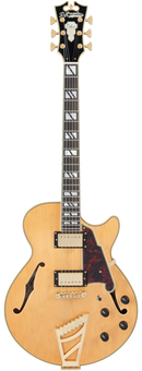 D'Angelico DELUXE SS Semi Hollow-Body Electric Guitar (Satin Honey)