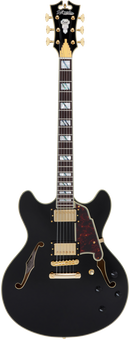 D'Angelico DAEDCSBKGS Excel DC Guitare électrique semi-creuse (noir massif)