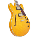 D'Angelico EXCEL DC Series Semi Hollow-Body Electric Guitar (Vintage Natural)