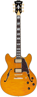 D'Angelico EXCEL DC XT Series Semi Hollow-Body Electric Guitar (Natural)