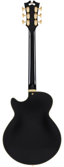 D'Angelico DAESSSBBKGT Guitare électrique semi-creuse (noir massif)