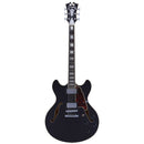 D'Angelico PREMIER DC Series Semi Hollow-Body Electric Guitar (Black Flake)