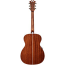D'Angelico DAPOMVNATAPS PREMIER TAMMANY Series - Guitare électrique acoustique Tammany Orchestra - Vintage Natural