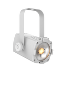 Chauvet DJ EVE-TF20X-W LED Accent Luminaire (White)