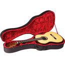 Cordoba Deluxe Polyfoam Case for Classical/Flamenco Guitar