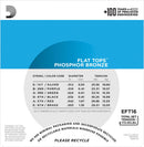 D'Addario EFT16 Flat Tops Acoustic Guitar Strings - Light 12-53