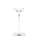 Gravity GR-GLTST02W Universal Laptop Stand with Adjustable Holding Pins and Steel Base