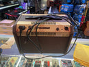 Fishman LOUDBOX MINI 60W Acoustic Guitar Combo Amplifier w/ Bluetooth - DEMO