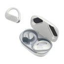 JBL Endurance Peak 3 True Wireless Active Earbuds