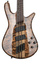 Spector NSDM4SFB NS Dimension - Basse électrique avec frettes brouillées - Wenge / Super Black Gloss