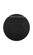 Porte grillagée Caymon SPR42GL pour armoire rack 42HE SPR