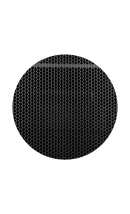 Caymon SPR842GG 19" Rack Cabinet For 42 Unit With Grill Front And Rear Door