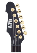 ESP ALAN ASHBY Signature Electric Guitar (Black Satin)