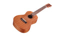 Cordoba PROTEGE Concert Ukulele Player Pack - Naturel 