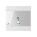 Audac WP220 Universal Wall Panel Bluetooth Receiver Input (White)