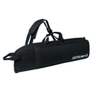 Roland AE-30 Aerophone Digital Wind Instrument