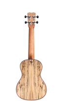 Cordoba 24C Spruce Concert Ukulele (Natural Finish)