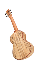Cordoba 24T Spruce Tenor Ukulele (Natural Finish)