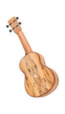 Cordoba 24S Spruce Soprano Ukulele (Natural Finish)