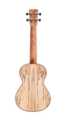 Cordoba 24T Spruce Tenor Ukulele (Natural Finish)