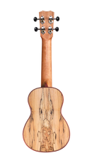 Cordoba 24S Spruce Soprano Ukulele (Natural Finish)