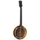 Luna BGB CEL 6 Celtic 6-String Banjo (Tobacco Burst)