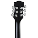 Luna BGB MOON 6E 6-String Acoustic/Electric Banjo (Moonbird)