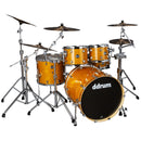 DDrum DOMINION Birch 5-Piece Shell Pack With Ash Veneer (Gloss Natural)