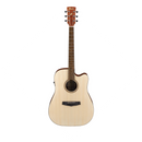 Ibanez PF10CEOPN Steel String Guitar with Pickup