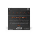 D'Addario XTAPB1047 XT Phosphor Bronze Acoustic Guitar Strings Extra Light 10-47