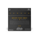 D'Addario XTAPB1256 XT Phosphor Bronze Acoustic Guitar Strings 12-56