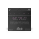 D'Addario XTJ09520 XT Stainless Steel Banjo Strings Custom Light 9.5-20