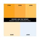 American DJ ENCORE-LP12IP Encore LP12IP IP65 robuste extérieur évalué RBGL LED Par