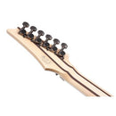 Guitare électrique Ibanez RG Prestige Series RG5120MPRT avec micros Fishman Fluence - Lumières polaires