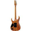 Ibanez RG Premium Series RGT1220PBABS Guitare électrique avec micros DiMarzio - Antique Brown Stained Flat