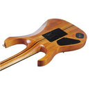 Ibanez RG Premium Series RGT1220PBABS Guitare électrique avec micros DiMarzio - Antique Brown Stained Flat