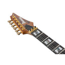 Ibanez RG Premium Series RGT1220PBABS Guitare électrique avec micros DiMarzio - Antique Brown Stained Flat
