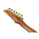 Ibanez RG Premium Series RGT1220PBABS Guitare électrique avec micros DiMarzio - Antique Brown Stained Flat