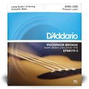 D'Addario EPBB170-5 Phosphor Bronze 5-String Acoustic Bass Strings (45-130)