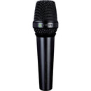 Microphone vocal portable Lewitt MTP 250 DMS avec interrupteur