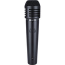 Microphone dynamique portable Lewitt MTP 440 DM