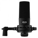 Audient EVO4 Start Recording Bundle