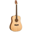 Peavey DELTA-WOODS DW-1 Guitare acoustique Dreadnaught avec sac