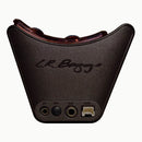 G / D. Baggs Session VTC Micro guitare acoustique + préampli