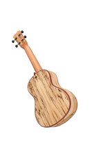 Cordoba 24C Spruce Concert Ukulele (Natural Finish)