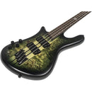 Spector NSDM4HAUNTLH NS Dimensions 4 Guitare basse – Gaucher – Haunted Moss Matte – Gaucher